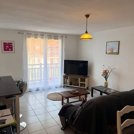 T2 Les Mimosas Διαμέρισμα Salies-de-Béarn